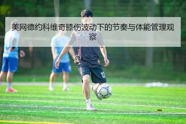 美网德约科维奇膝伤波动下的节奏与体能管理观察 | leyu
